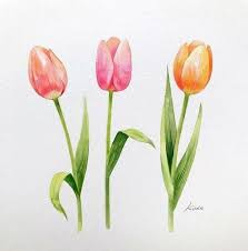 Orange Pink Yellow Tulips Cool Simple Drawings Colored Painting White Background In 2020 Flower Drawing Flower Drawing Tutorials Tulips Art