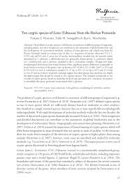 Image result for Lotus mlanjeanus