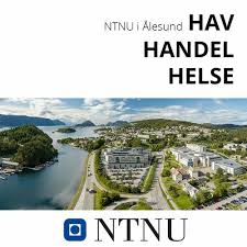 Gjøvik has about 30 000 inhabitants and is a town known for its rich music and cultural life. Stream Innovasjon Og Okonomiutdanning Ved Ntnu I Alesund By Ntnu University Listen Online For Free On Soundcloud