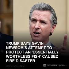 Thoughtful Women by WJ