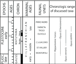 The Middle Villafranchian Chronology With Range Chart Of