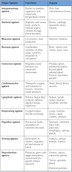 11 Human Body Flow Diagram Mania Introduction Organ System