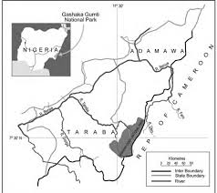 Image result for Pycreus fibrillosus