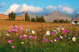 End Of Summer Near Golden Gate National Park Free State South Africa Photo By Hougaard Malan South Africa Travel South Africa Africa