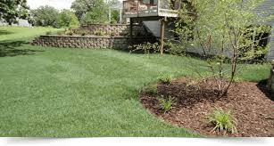 Has your lawn suddenly gone from looking like a lovely green carpet to a brown and green patchwork quilt, either from children having fun, animals running around. Lawn Repair Lawn Installation Best Choice Landscaping