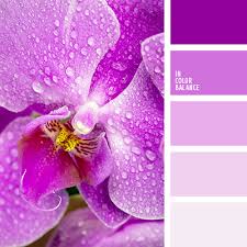 images?q=tbn:ANd9GcRGbzvpmGzq5HAOuuVlX3t