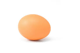 Egg Medium Pc