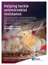 Has been faithful in our promise of providing high. Poultry International May 2021 Addresses