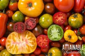 The answer to this question lies in the. How Much To Plant For A Garden That Will Feed Your Family