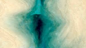 Vibrating, Pulsing Vagina: Causes & Treatment