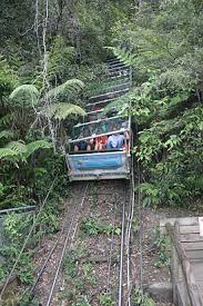 Es handelt sich um die höchste seilbahn australiens. Giant Staircase To Scenic Railway Creative Spirits