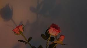Wallpaper Notebook Vintage Wallpaper Notebook In 2020 Aesthetic Desktop Wallpaper Rose Wallpaper Computer Wallpaper Desktop Wallpapers