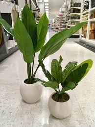 Fake Plants That Look Great From Cb2 Target Welcome Objects Artificial Plants Decor Faux Plants Decor Fake Plants Decor