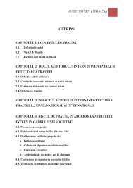 Ce studii trebuie sa aiba un auditor intern. Doc Audit Intern Si Frauda Dezertatie Teo Brici Academia Edu