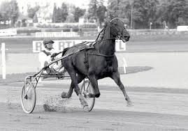 Net vous propose les meilleurs pronostics couplés gagnants en 3 chevaux et une sélection des 7. Memoires D Amerique Les Grands Vainqueurs De Roger Baudron