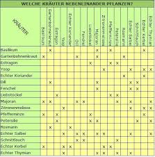 Welche Krauter Nebeneinander Pflanzen Krauter Pflanzen Garten Garten Pflanzen