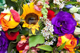 Maybe you would like to learn more about one of these? Rosengesteck Fototapete Fototapeten Blumengesteck Sommerblumen 14 Februar Myloview De