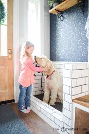 Preparations to build a diy dog washing station. Diy Mudroom With Dog Bath The Created Home