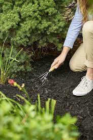 You will probably pull that one arborvitae.yet it will be barely noticeable. 10 Best Fertilizers For Arborvitae Reviews Tips In 2021