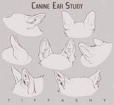 99 ($9.99/count) 5% coupon applied at checkout. Draw Animal Ears