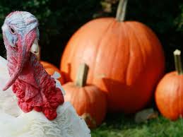(1) all about turkeys, (2) history, (3) movies and tv, (4) random facts and (5) u.s. Thanksgiving Facts History
