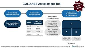 Image result for COPD Exacerbation Decision Tool