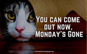 Sharing some crazy and hilarious tuesday morning funny quotes sayings, pictures and images to related: Funny Tuesday Wallpapers On Wallpaperdog