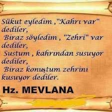 Elif Adli Kullanicinin Hz Mevlana Panosundaki Pin Ozlu Sozler
