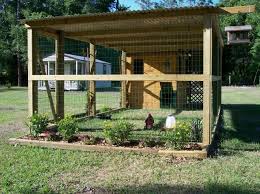 Pin Von Kathy Phillips Auf Green Spaces Gardens Yards Patios Huhner Hinterhofhuhner Huhner Im Garten
