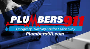 Essays, theses, book reviews, case studies, etc. Covid 19 Plumbers 911
