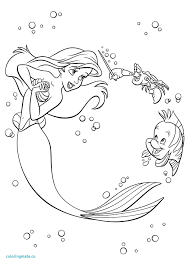 Explore 623989 free printable coloring pages for your kids and adults. Godzilla Coloring Pages Princess Paw Patrol Coloring Ariel And Flounder Coloring Page 1469292 Hd Wallpaper Backgrounds Download