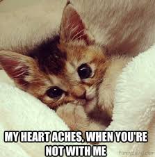 You are amazing memes for her. 59 Funny Memes About Love That Will Make Her Laugh And Cry At The Same Time