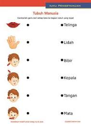 We would like to show you a description here but the site won't allow us. Soal Essay Dan Jawaban Bahasa Indonesia Kelas 11 Semester 1