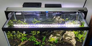 My aquarium hood on my 33 gallon long (48″ x 12″ x 12″) shell dweller tank has gone through many stages. Diy Glass Aquarium Lids Odin Aquatics