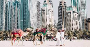 Bitcoin has seen a relatively consistent level of interest over the past 12 months, according to google trends. 20 Crypto Companies In Dubai You Should Get To Know