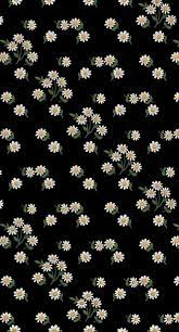 54 Super Ideas Wallpaper Whatsapp Tumblr Preto Flower Background Iphone Daisy Wallpaper Iphone Wallpaper Tons of awesome whatsapp wallpapers to download for free. daisy wallpaper iphone wallpaper