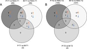 Un petit jeune va baiser une femme mature en chaleur et ceux pour son plus grand plaisir. Transcriptomic And Biochemical Investigations Support The Role Of Rootstock Scion Interaction In Grapevine Berry Quality Bmc Genomics Full Text