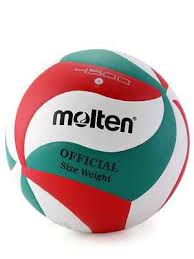 Image result for Molten 2018 RC