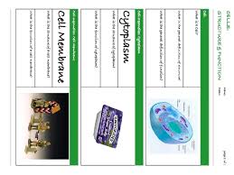By structure, the nucleus is dark, round, surrounded by a nuclear membrane. Cell Structure Standard 7 1 1 Identify And