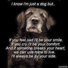 The Perfect Time Of Year To Remember That Dogs Are With Us For Life Lovedogs Mansbestfriend Barkingmad Dog Poems Dogs Dog Quotes Love