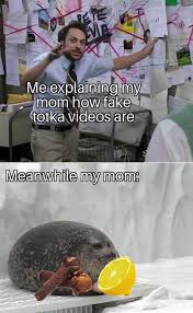 Here is a comprehensive explanation about tona and totka. Best 30 Indian Totka Fun On 9gag