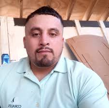 What are recommendations for Bermuda grass sod for my backyard?