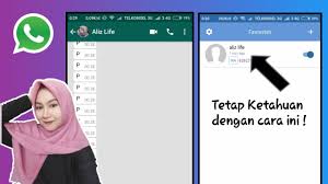 Cara Melihat Last Seen Wa Yang Disembunyikan Youtube