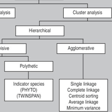 Image result for Rytigynia kiwuensis
