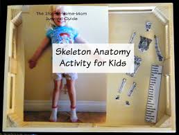 Montessori activities preschool science kindergarten activities preschool activities science tricks health activities body preschool preschool themes. Skeleton Anatomy Activity For Kids The Stay At Home Mom Survival Guide