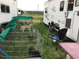 Check spelling or type a new query. Dog Shows Travelers This Rver Travels With Her Siberian Huskies