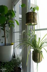 Urban Jungle Ideen Indoor Garden Plant Ideas Blog Vienna Fashion Waltz Indoor Garten Pflanzen Blumentopf