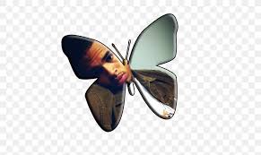 Download and print these chris brown coloring pages for free. Butterfly Drawing Shin Megami Tensei Persona 3 Moth Deviantart Png 516x489px Butterfly Arthropod Chris Brown Coloring