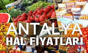 3 mayis 2021 pazartesi antalya hal fiyatlari