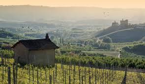 Ti proponiamo un'ampia selezione di locali, distribuiti tra langhe, roero e monferrato, e suggeriti da noi per l'alta qualità o per le curiose proposte. Langhe Roero E Monferrato Un Itinerario Tra Le Vigne Patrimonio Unesco Italoblog